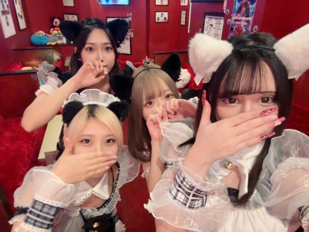 猫耳コンカフェ C4 (シーフォー)